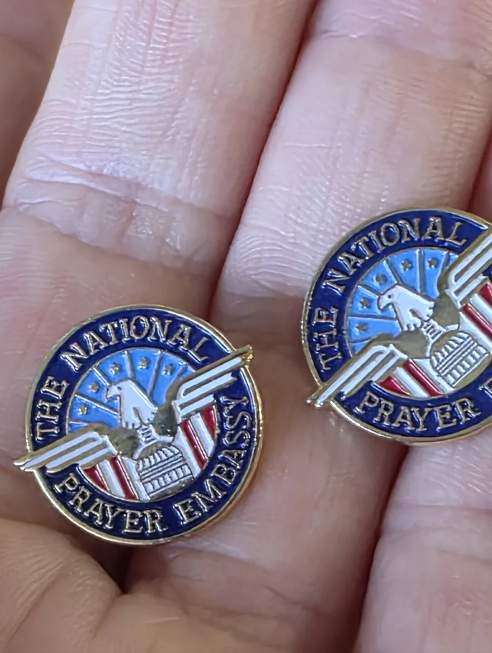 2 Vintage National Prayer Embassy Eagle Enamel Lapel Pins Set of 2